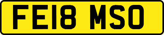 FE18MSO