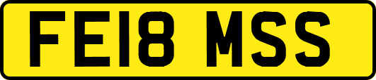 FE18MSS