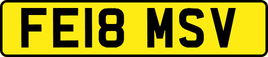 FE18MSV
