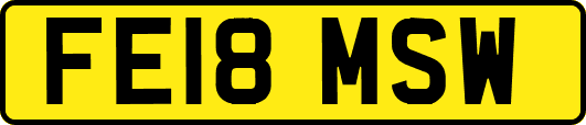 FE18MSW