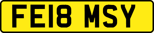 FE18MSY