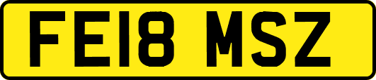 FE18MSZ