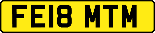FE18MTM