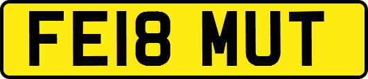 FE18MUT