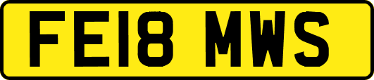 FE18MWS