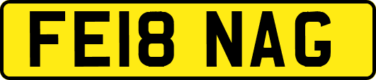 FE18NAG