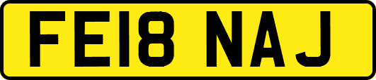 FE18NAJ