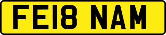 FE18NAM