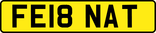FE18NAT