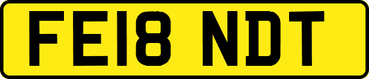 FE18NDT