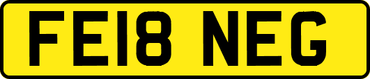 FE18NEG