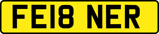 FE18NER