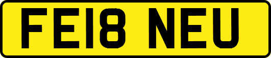 FE18NEU
