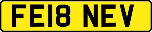 FE18NEV