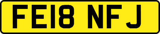 FE18NFJ