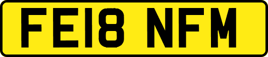 FE18NFM