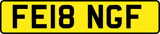 FE18NGF