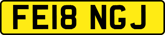 FE18NGJ