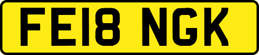 FE18NGK