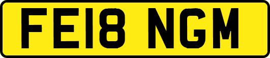 FE18NGM