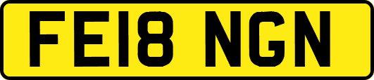 FE18NGN