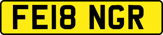 FE18NGR