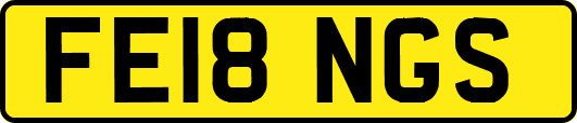 FE18NGS