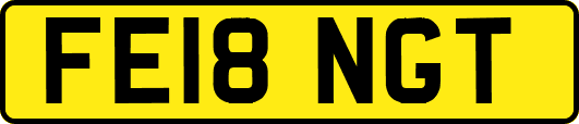 FE18NGT