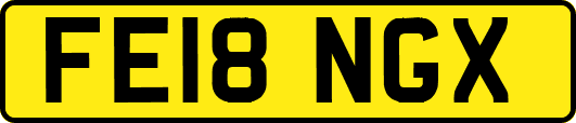 FE18NGX