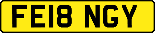 FE18NGY