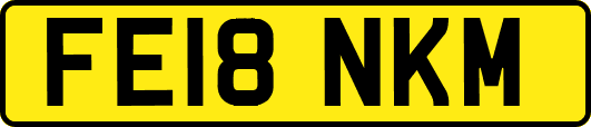 FE18NKM