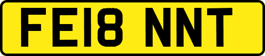 FE18NNT