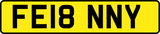 FE18NNY