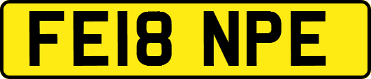 FE18NPE