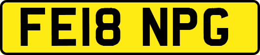 FE18NPG