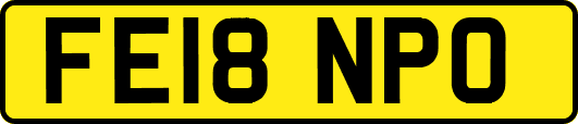 FE18NPO