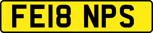 FE18NPS