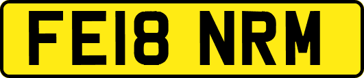 FE18NRM