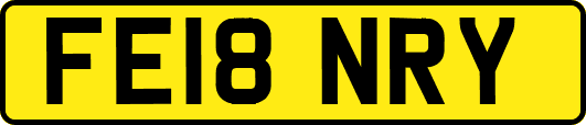 FE18NRY