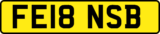 FE18NSB
