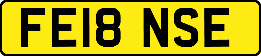 FE18NSE