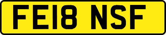 FE18NSF