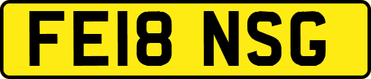 FE18NSG