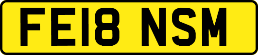 FE18NSM