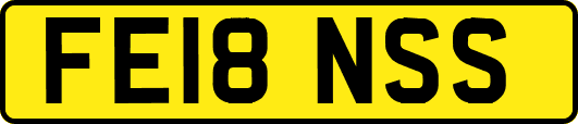 FE18NSS