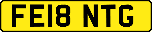 FE18NTG