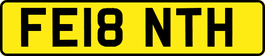 FE18NTH