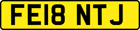 FE18NTJ