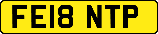 FE18NTP