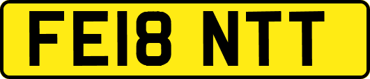 FE18NTT